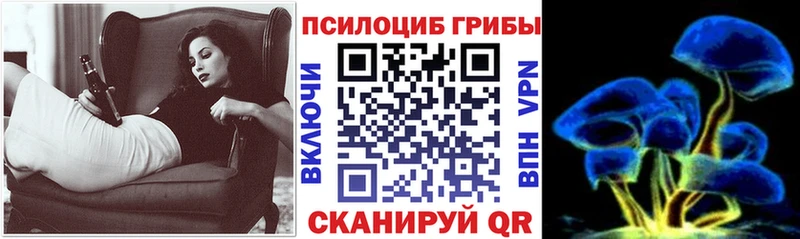Псилоцибиновые грибы Psilocybe  где купить наркоту  Кубинка 